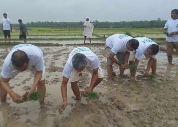 असार १५ मा हिलो खेल्ने बढे, खेती गर्ने घटे