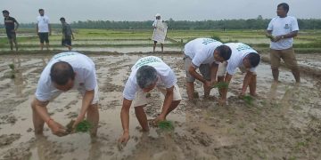 असार १५ मा हिलो खेल्ने बढे, खेती गर्ने घटे