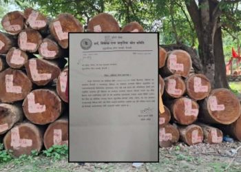 बाह्रवनमा रुख कटान तथा बिक्रीवितरण गर्ने संसदीय समितिद्वारा काम रोक्न निर्देशन