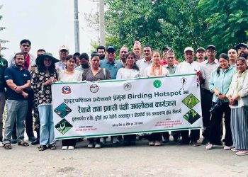 विश्व वातावरण दिवसमा शुक्लाफाँटामा चरा अवलोकन, सिमसार संरक्षणमा जोड