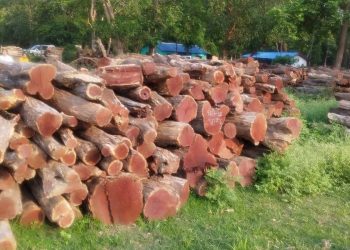 एक पछि अर्को विवादमा पर्दै कैलालीका साझेदारी वन
