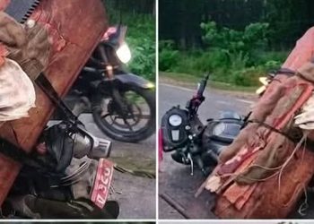 सालको गोलिया बोकेको दुई मोटरसाइकलसहित एक पक्राउ