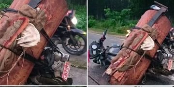 सालको गोलिया बोकेको दुई मोटरसाइकलसहित एक पक्राउ