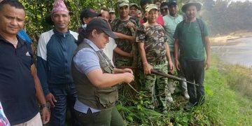 धनगढीमा पाटेबाघको पाइला भेटिएपछि वन क्षेत्र आसपास सतर्क रहन आग्रह